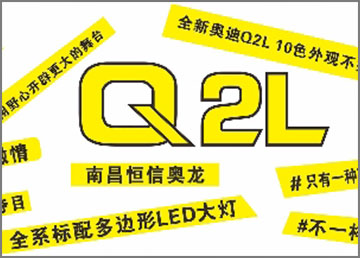 奥迪 迪铁丝网+涂板 异形字