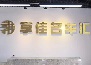 享佳名车汇钛金精工字